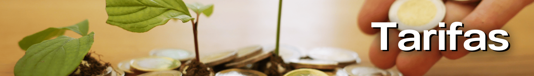 Banner (8) Banner (8)